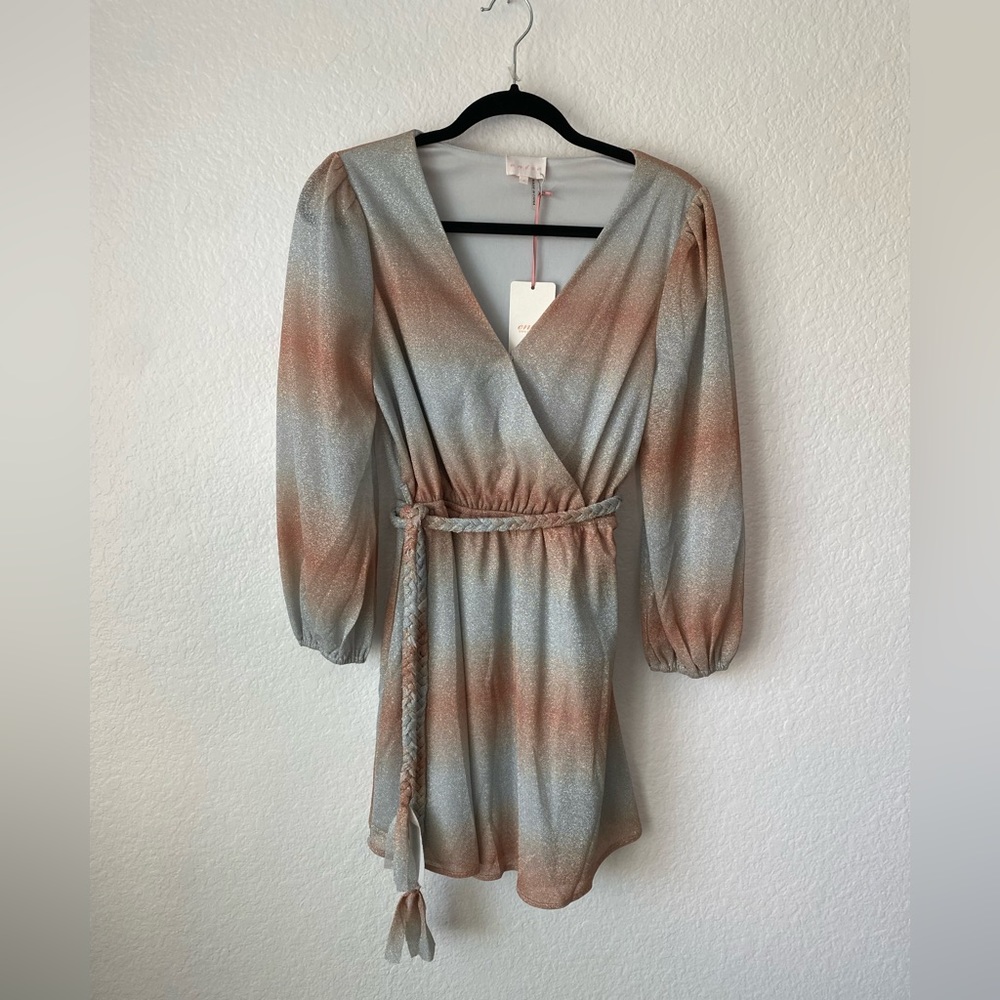 NWOT Entro Long Sleeve Sparkly Dress with Tie Size Small. Fully Lined.